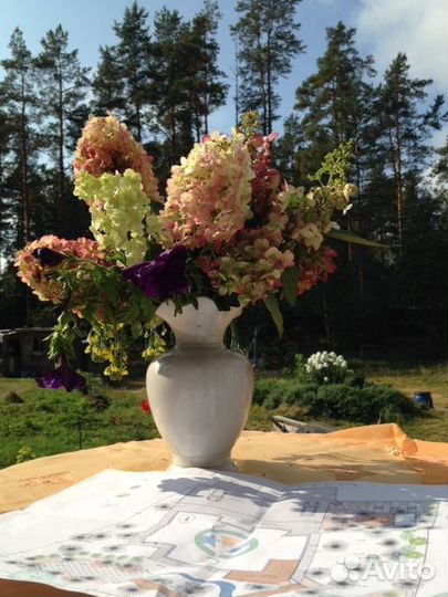 Обучение проектированию сада с нуля