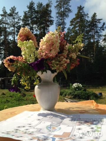 Обучение проектированию сада с нуля