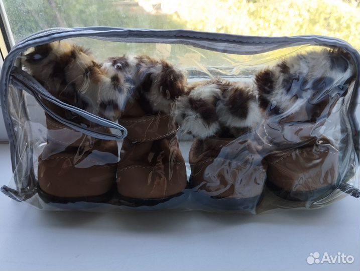 Обувь для собак