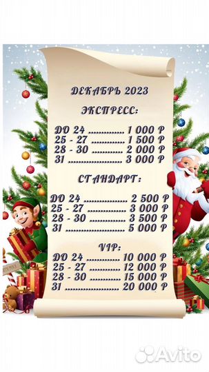 Дед Мороз и Снегурочка на дом