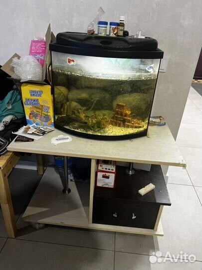 Аквариум + тумба