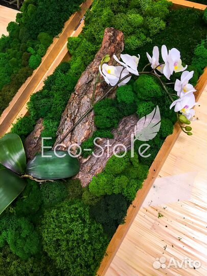 Панно со мхом и орхидеей