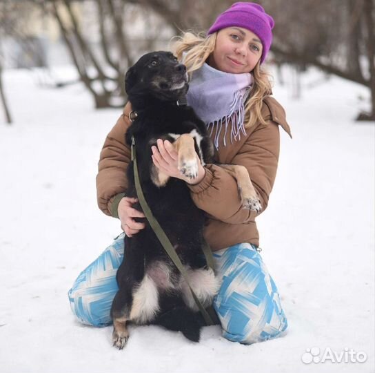 Багги хочет домой