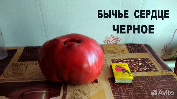 Семена сортовых томатов, коллекционных