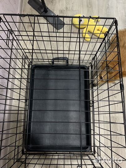 Клетка для собак