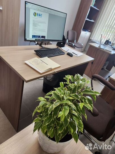 Бухгалтерские услуги для ИП и ООО