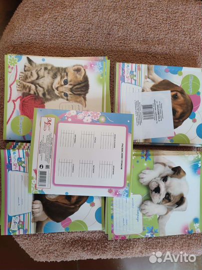 Тетради линия 24 листа новые