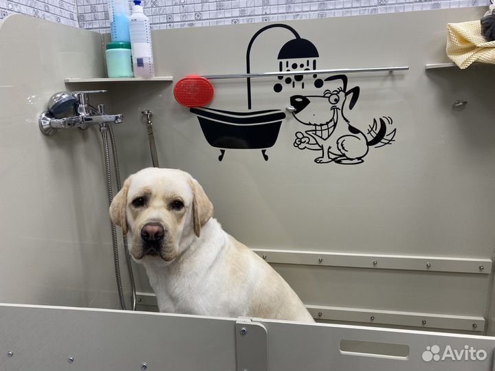 Стрижка собак и кошек груминг