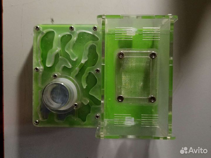 Муравейник