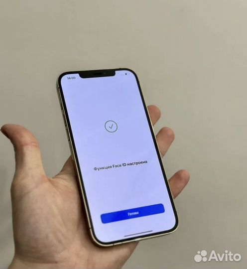 iPhone 12 Pro Max, 256 ГБ