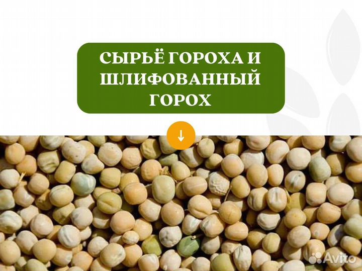 Горох с поля (сырье) (кг)