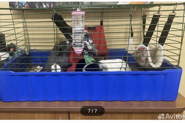 Размер 72 на 45. Клетка для грызунов