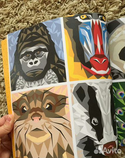 Книга -раскраска