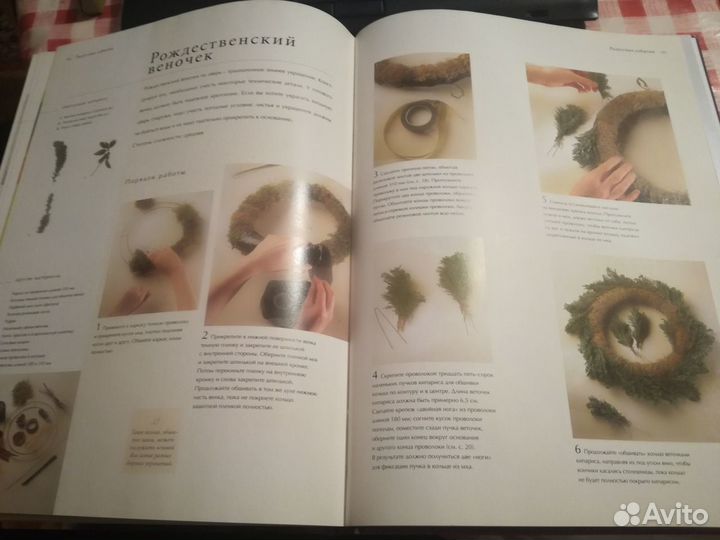 Современная флористика