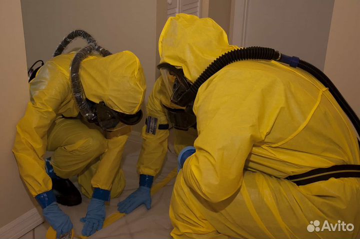 Барнаул Уничтожение Клещей Тараканы Клопы Блохи