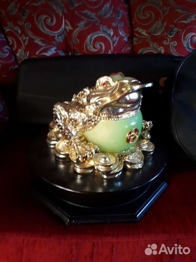 Лягушка денежная большая