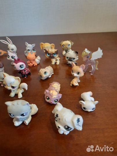 Коллекционные игрушки littlest pet shop