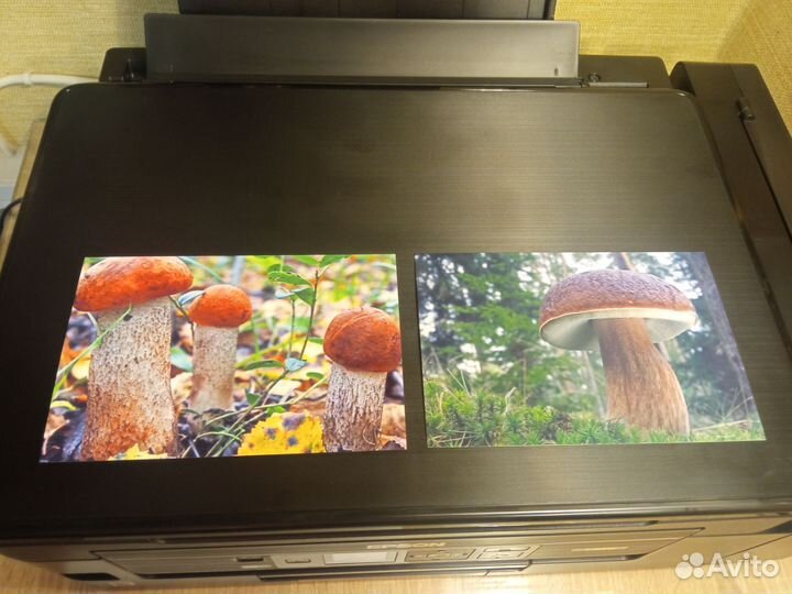 Мфу Epson L3070