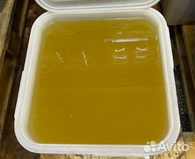 Мёд свежий донниковый сбор 2023 г Опт