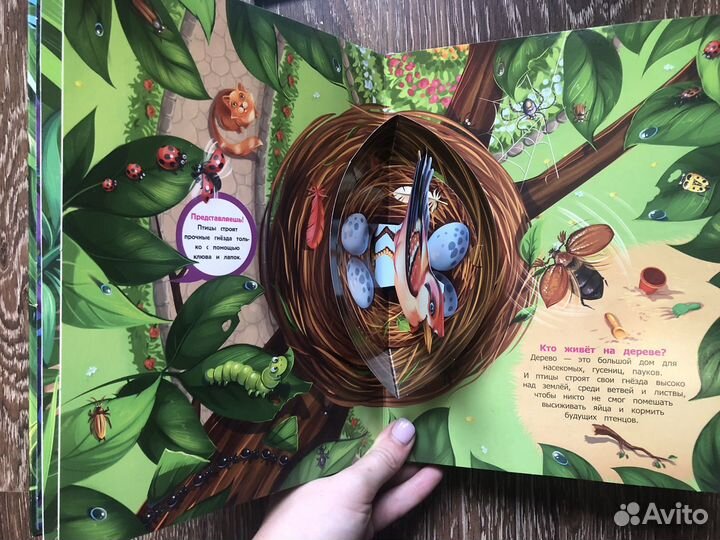 Книги (цена за 1 ед.)