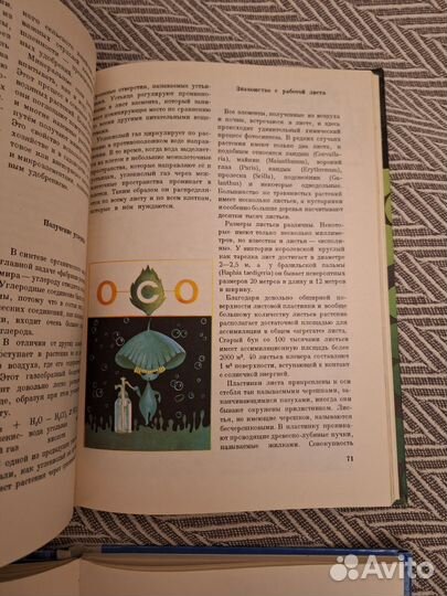 Книги о природе и животных детские