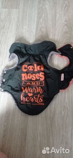 Одежда для собак