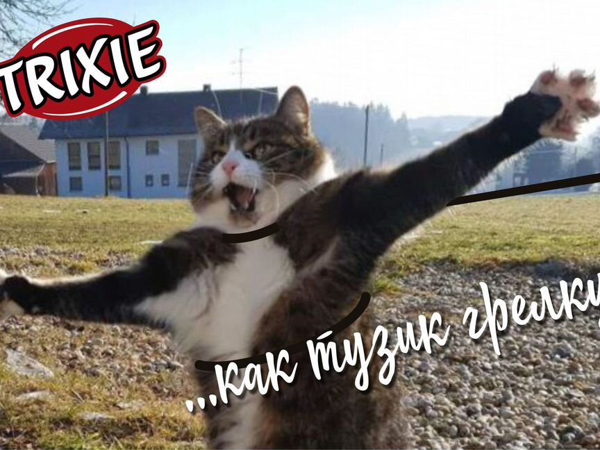 Шлейка с поводком для кошки, Trixie