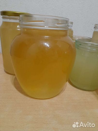 Рабочий хряк, тёлочки,опоросные станки,сало копчен