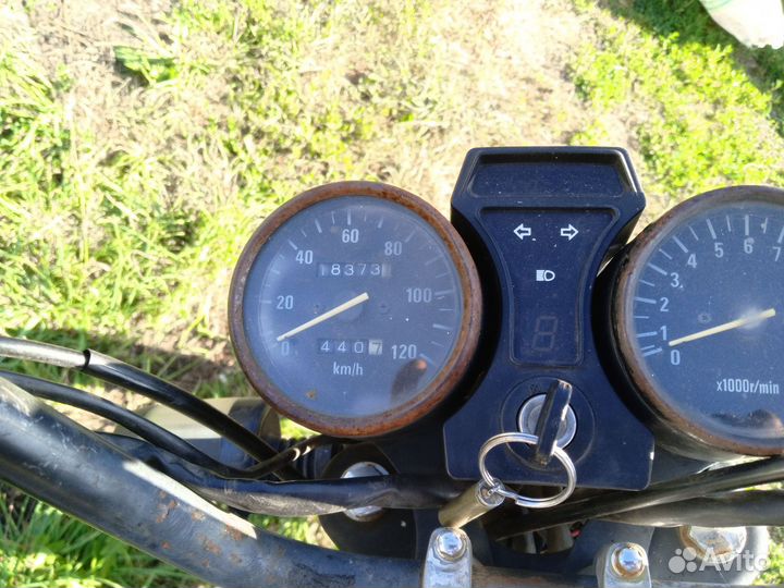 Орион грифон 125