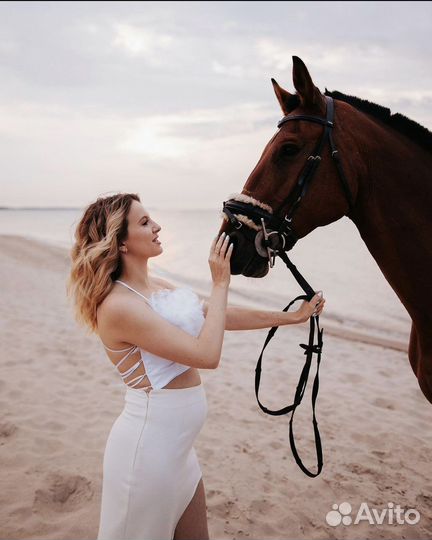 Конные прогулки, обучение верховой езде