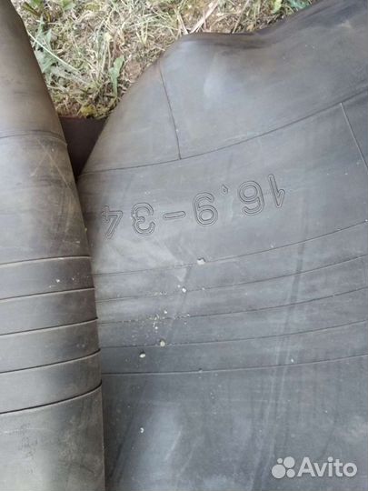 Белшина Бел-59