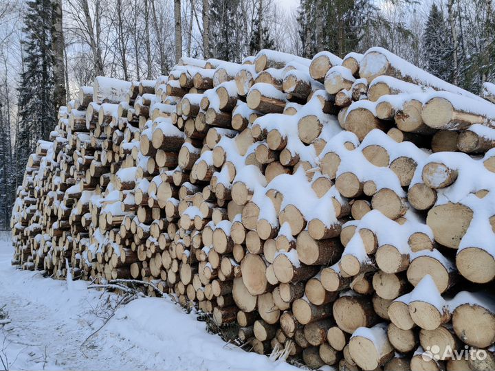 Круглый лес Ель, берёза, осина Всё в наличии