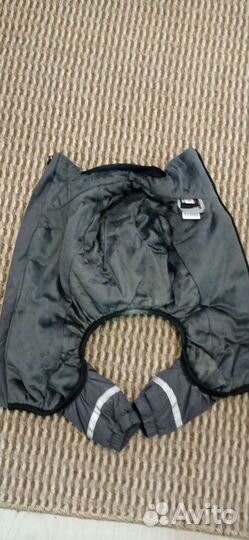 Одежда для собак