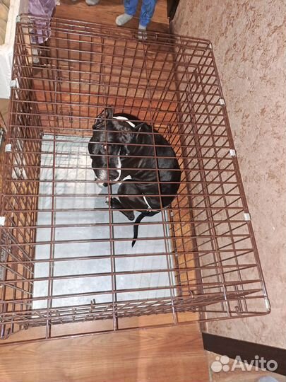 Клетка для собак