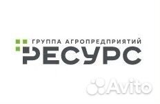 Главный инженер