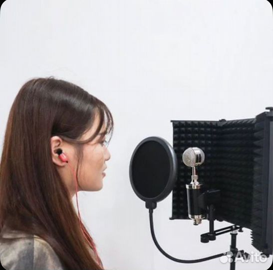 Экран для микрофона акустический