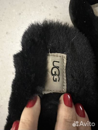 Шлепки Ugg оригинал