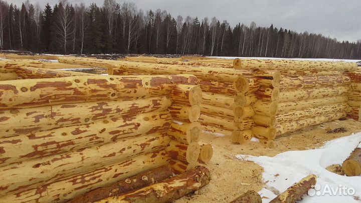 Доска брус срубы на заказ