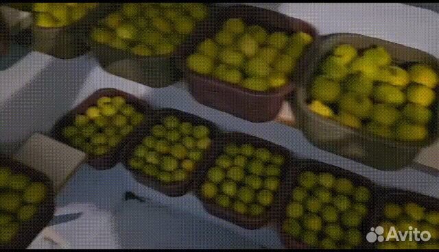 Свежий инжир из Армении (только авиа) регион мегри