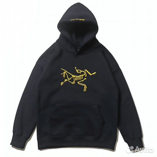 Худи Palace Arcteryx