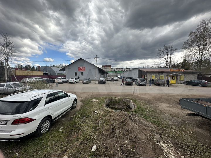 Торговая площадь, 560 м²
