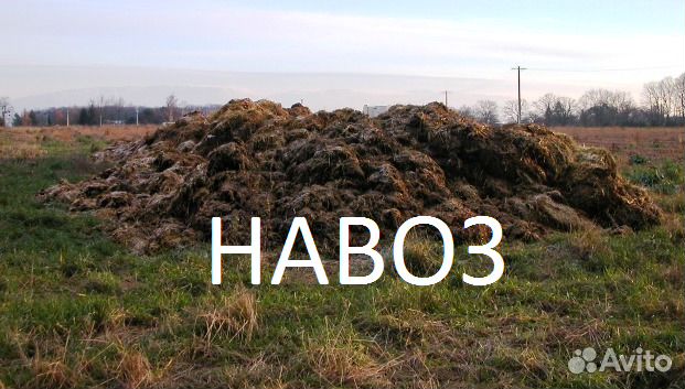 Навоз с доставкой