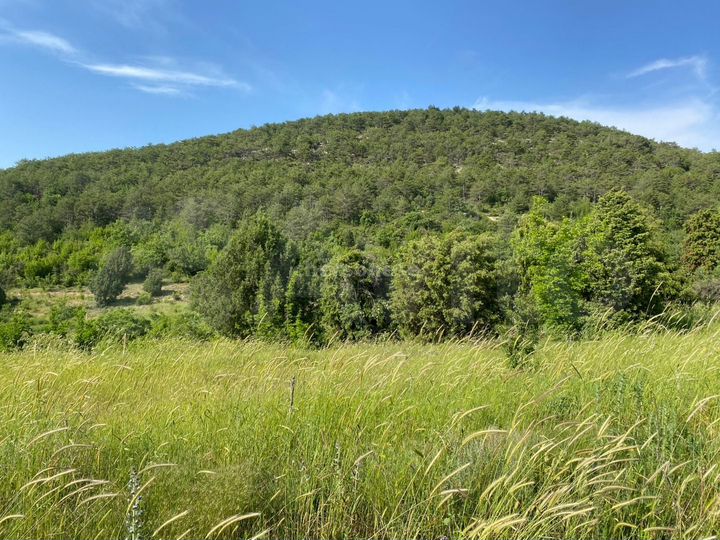 Участок 9 сот. (СНТ, ДНП)