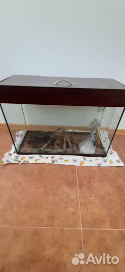 Аквариум с оборудованием