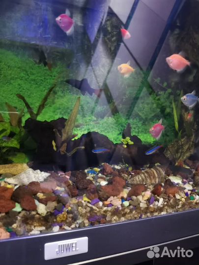 Продам аквариум