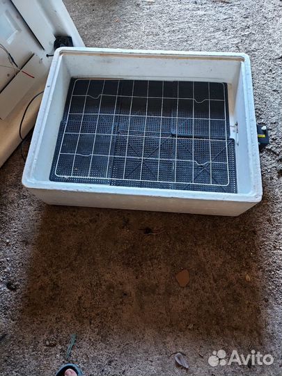 Инкубатор для яиц автоматический бу