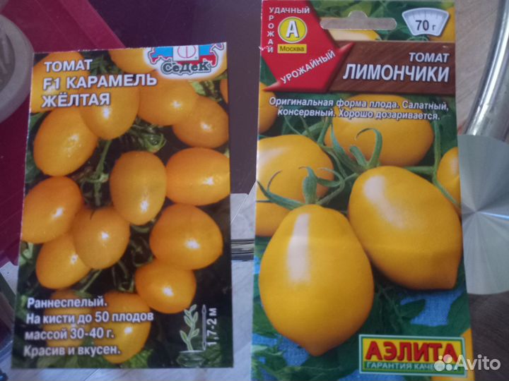 Рассада томатов