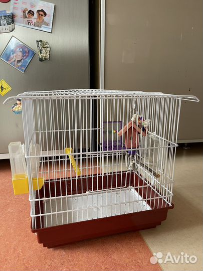 Клетка для попугая
