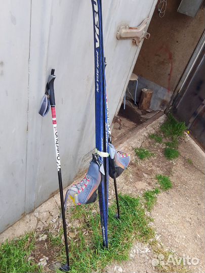 Беговые лыжи