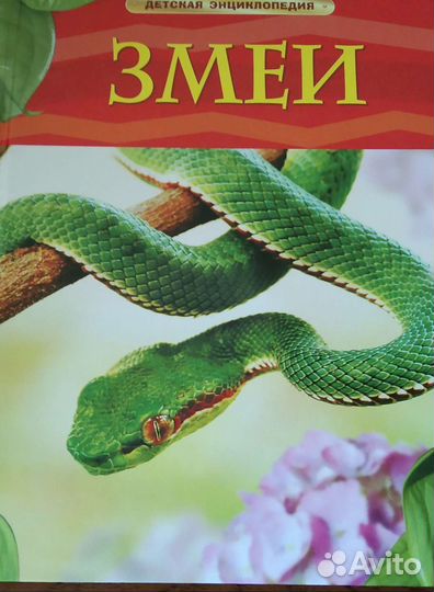 Детские энциклопедии